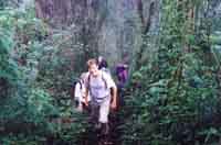 Hiking en Volcanoe Pacaya