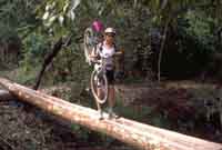 Multi - Adventure river crossing en Tecpan