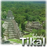 Splendid Tikal Tour, en Guatemala