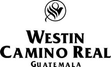 Hotel Westin Camino Real