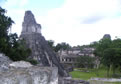 Survivo Vacation Packages, 4 days / 3 nights