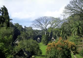 Quirigua - the nine stelae around the central plaza