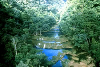 Pools Of Semuc Champey