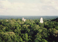 Tikal Templos y ruinas