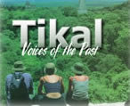 Splendid Tikal Tour, en Guatemala